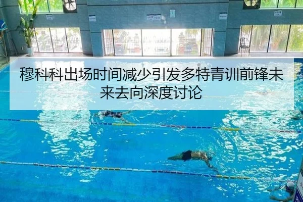 穆科科出场时间减少引发多特青训前锋未来去向深度讨论